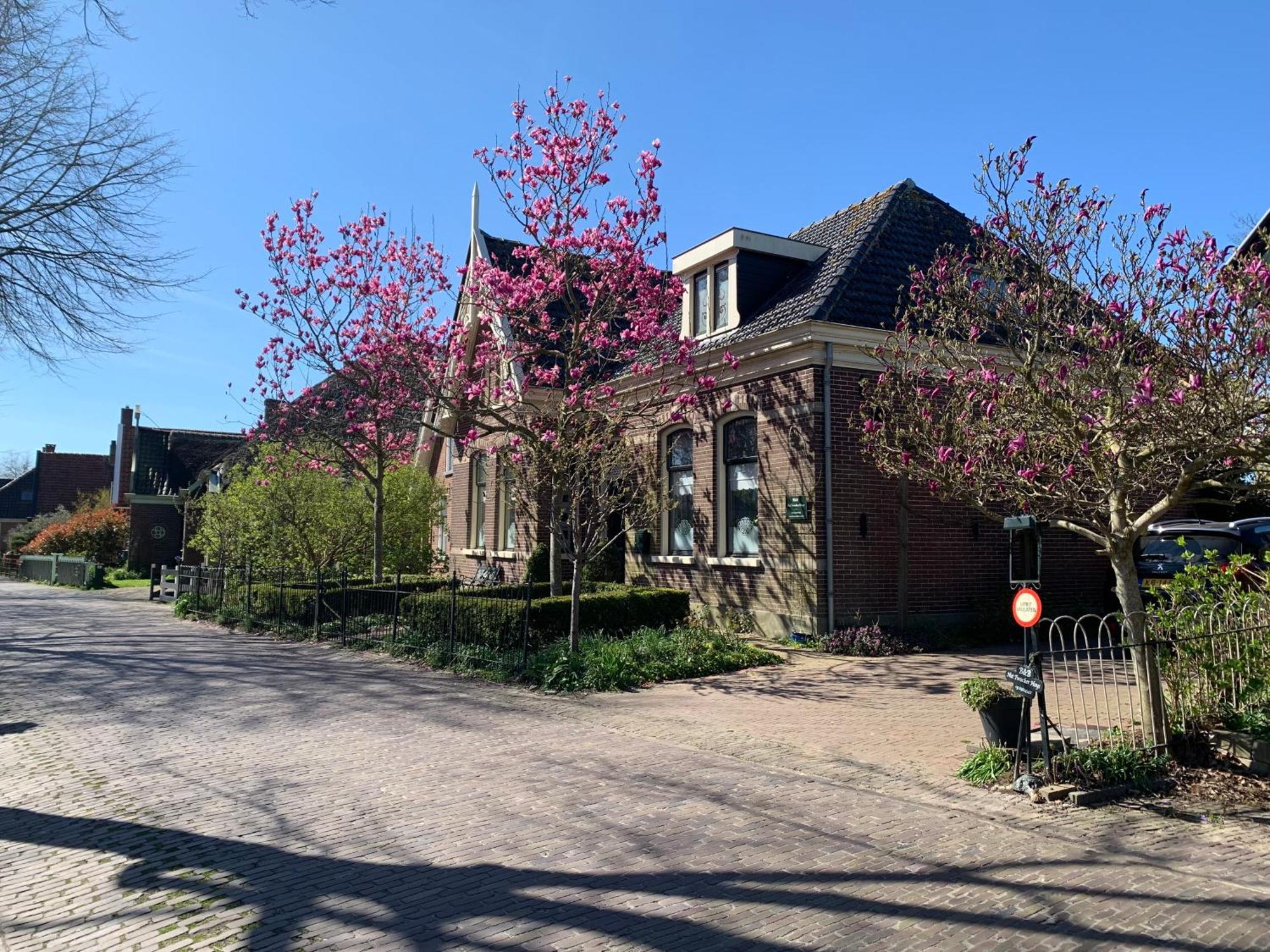 Bed and Breakfast Het Twiscker Huys Twisk Exterior foto